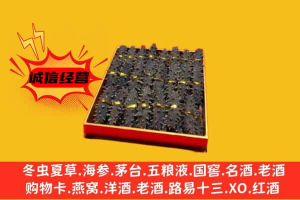 老河口市回收海参